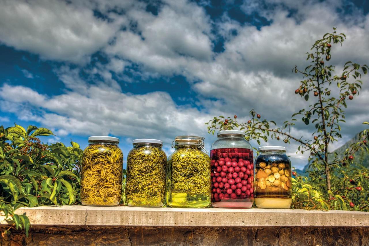 Hotel Glamping Kranjc Kobarid Exteriér fotografie